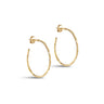 ENAMEL Copenhagen Hoops, Organic Arena Medium Earrings Gold Plated